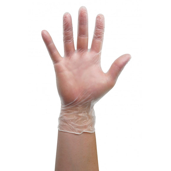 Large Vinyl Gloves - Latex Free - Clear - Powder Free - 100/box, (Case of 10 boxes)