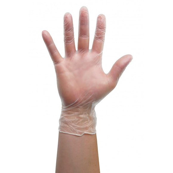 Medium size Vinyl Gloves - Latex Free - Clear - Powder Free - 100/box, (Case of 10 boxes)